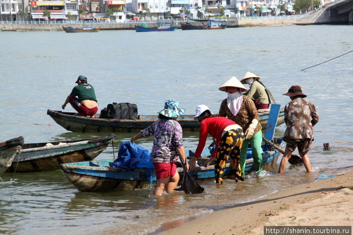 Работа кипит — прибыл свежий улов! Нячанг, Вьетнам