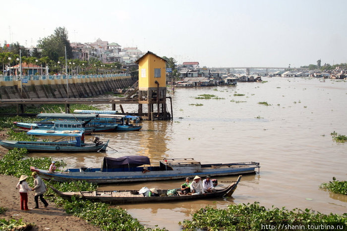 На берегу Меконга Тяудок, Вьетнам