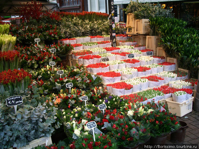 Как и его цветочные рынки Амстердам, Нидерланды