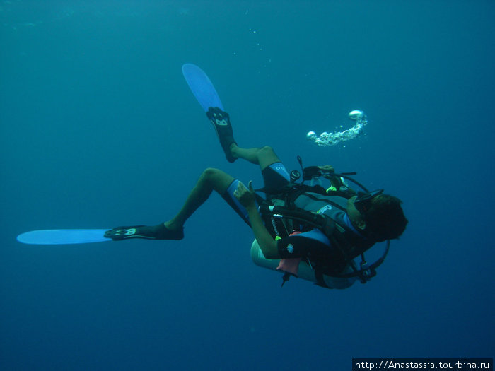 Подводные приколы Мальдивские острова