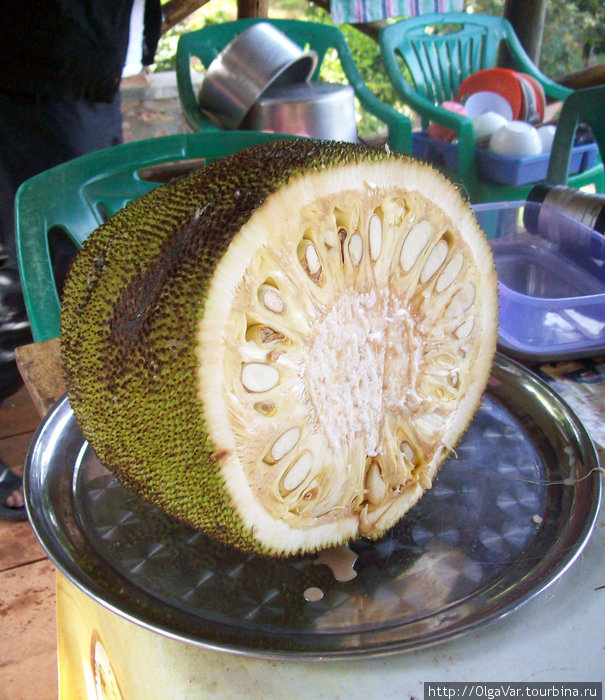 Джако — экзотический фрукт Бафунда, Уганда