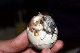 Филиппинский деликатес — яйцо с полусформировавшимся зародышем