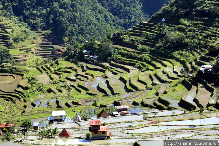 Рисовые террасы Банауэ Рисовые Террасы, Филиппины