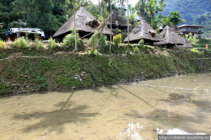 Традиционные дома Банауэ Рисовые Террасы, Филиппины