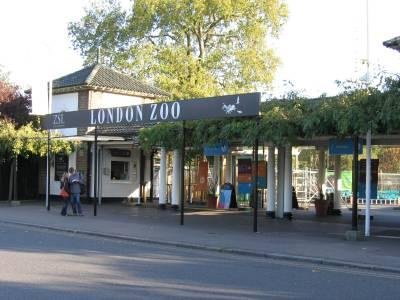 Лондонский зоопарк / London Zoo