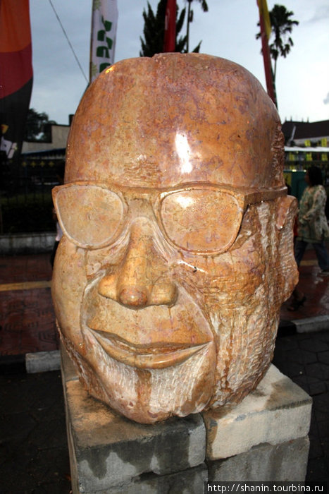Голова в очках Джокьякарта, Индонезия