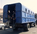 А вот так, например, перевозят в Каире местных полицейских.