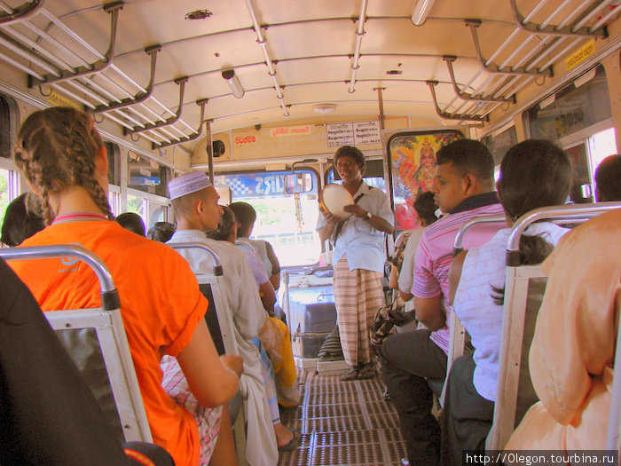 Шри-Лантийский автобус представляет: Стучаший в барабан будет вас веселить всю дорогу Дамбулла, Шри-Ланка