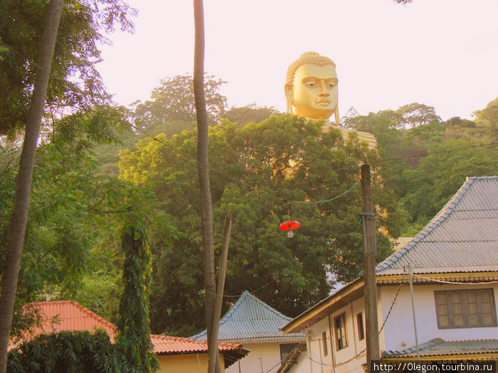 Будда выглядывает из-за деревьев Дамбулла, Шри-Ланка