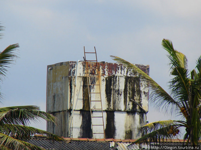 Обзорная вышка, над пальмами Негомбо, Шри-Ланка