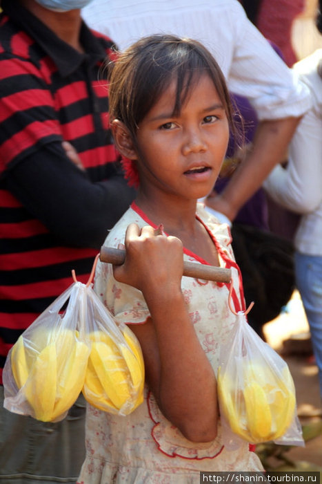 Молодая разносчица фруктов Пномпень, Камбоджа