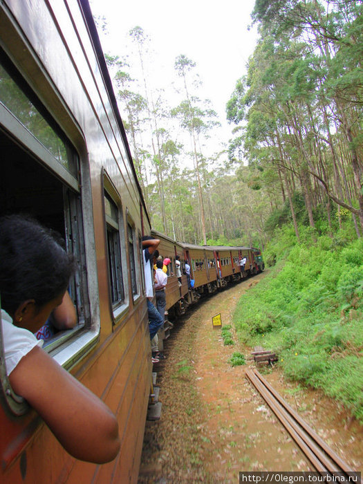 Поезд- самое интересное и удобное средство передвижения на Шри-Ланке Шри Пада Пик (Пик Адама 2243м)  заповедник дикой природы, Шри-Ланка