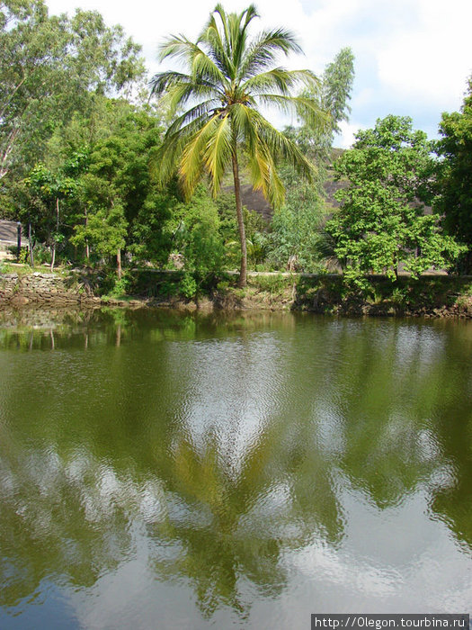 Зелёный остров Бадулла, Шри-Ланка