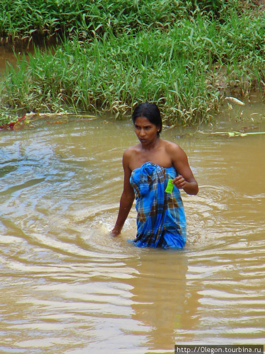 В реке можно и искупаться Бадулла, Шри-Ланка