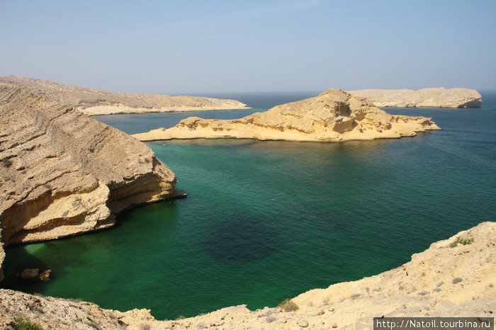 Oman Diving Center Маскат, Оман