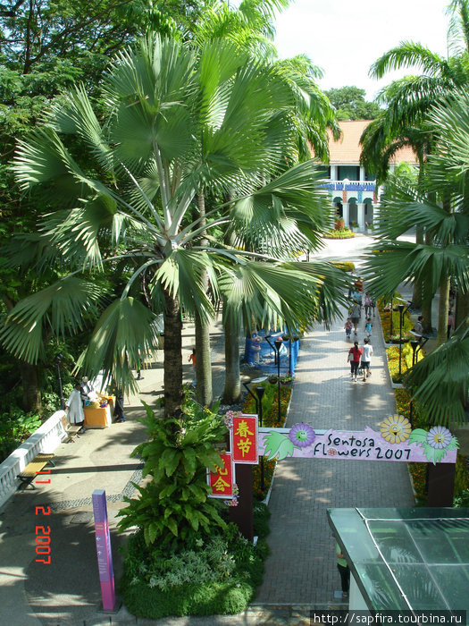 Сентоза — Парк и Океанариум остров Сентоза, Сингапур (город-государство)