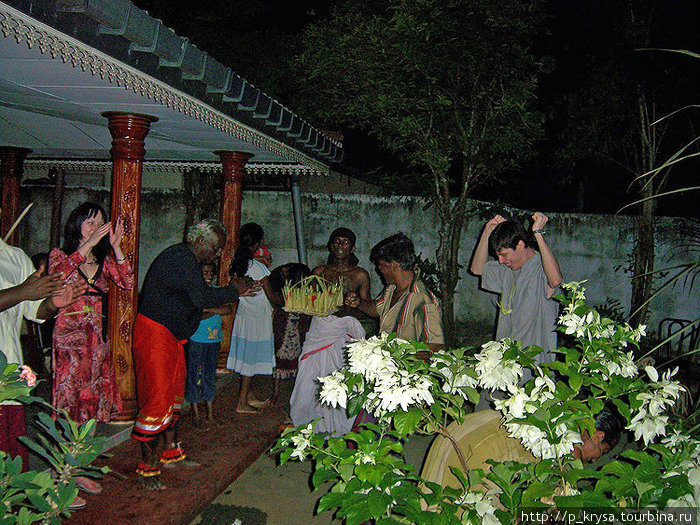 С танцами до упаду Шри-Ланка