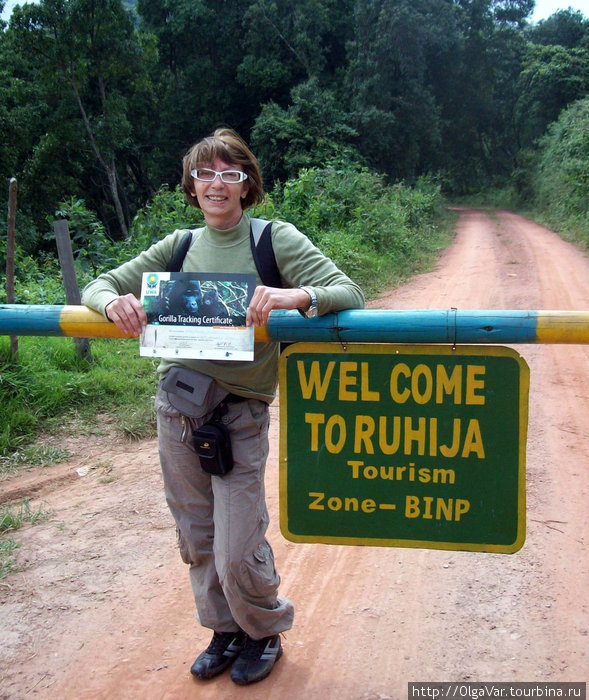 Документальное доказательство того, что видел горилл Бвинди Национальный Парк, Уганда