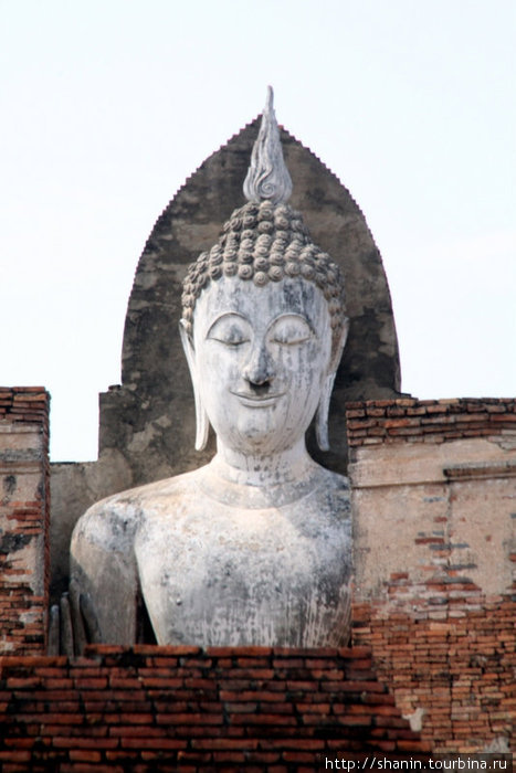Голова Будды Сукхотай, Таиланд