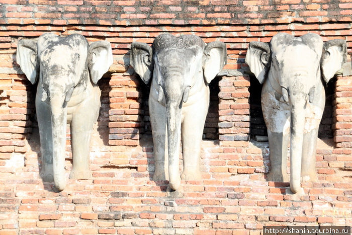 Три слона в основании ступы Сукхотай, Таиланд