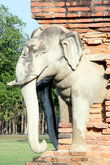 Слоны на углу