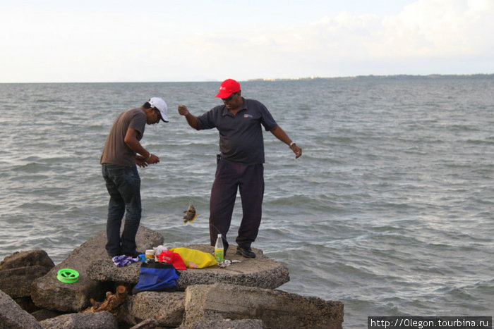 Рыбаки- счастливый момент, поймали рыбу Фиджи