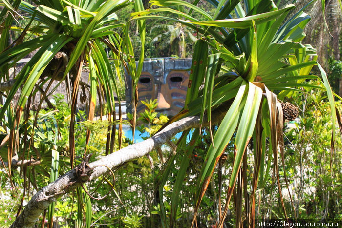 Фиджийская маска, выглядывающая из-за листвы Остров Вити-Леву, Фиджи