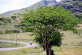 Дорога между Раки-раки на Тавуа