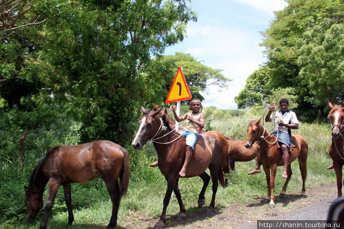 Прогулка на лошадях Остров Вити-Леву, Фиджи