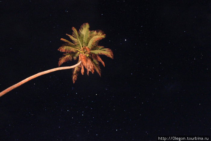 Звёздная ночь над Тихим Океаном- где там Южный крест