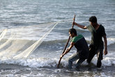 Рыбаки побросали удочки и взяли в руки сети