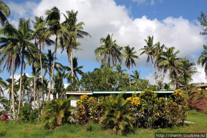 Дом и пальмы Остров Вити-Леву, Фиджи