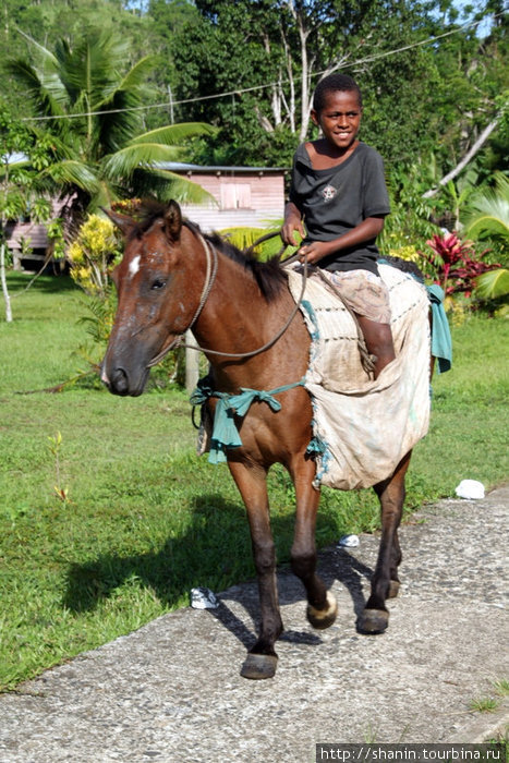 Верхом на лошади Остров Вити-Леву, Фиджи