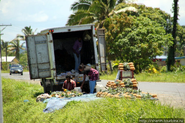 Автолавка с ананасами у поворота с шоссе в сторону деревни Накаву Остров Вити-Леву, Фиджи