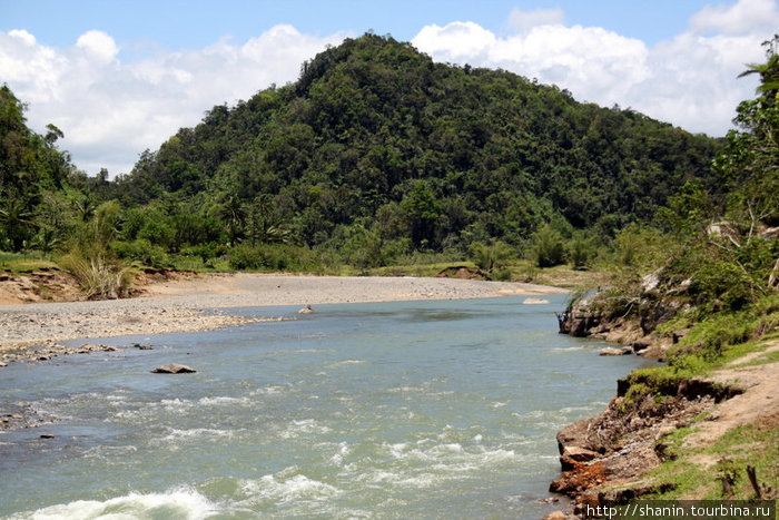 Река чуть выше деревни Накаву