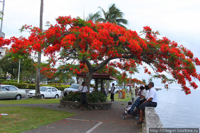 Набережная- любимое место вечерних прогулок у столичных жителей Остров Вити-Леву, Фиджи
