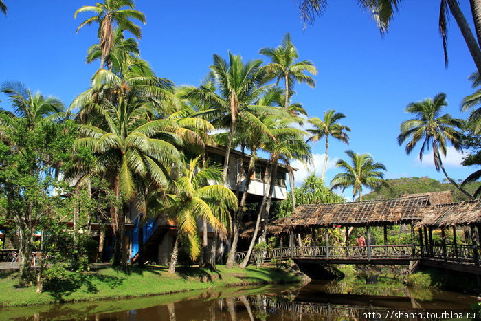 Пальмы и крытый мост Остров Вити-Леву, Фиджи
