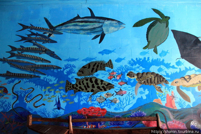 Рисунок на морскую тему Остров Вити-Леву, Фиджи