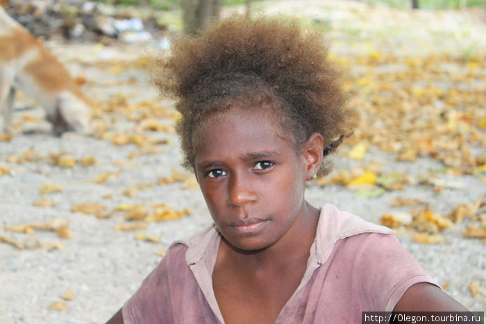 Модная, пышная причёска Вануату