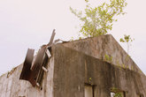 Разрушенные здания после тайфуна обрастают деревьями и кустами