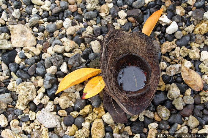 Скорлупа от кокосового ореха Остров Эфате, Вануату