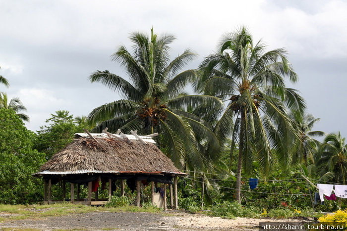 Дом под пальмами Остров Савайи, Самоа