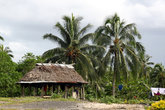 Дом под пальмами