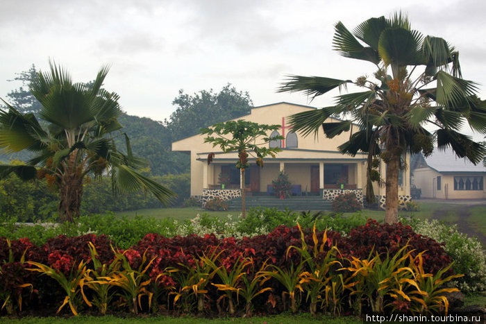Цветы и пальмы перед церковью Остров Савайи, Самоа