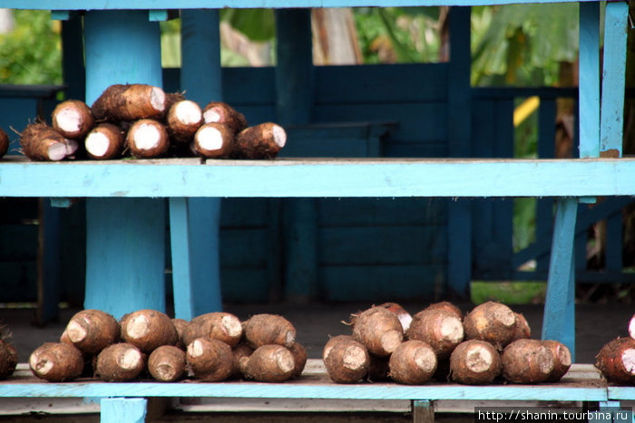 Сладкий картофель на продажу Остров Уполу, Самоа