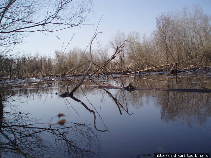 Чарующий край Днепровских плавней на байдарке Херсон, Украина