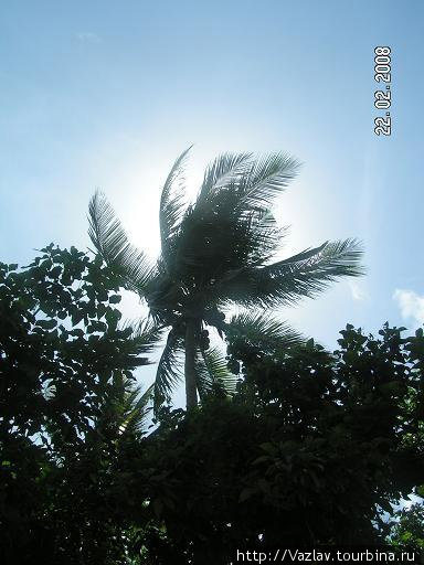 Под солнцем Группа островов Лусон, Филиппины