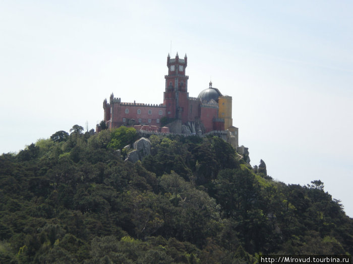 Замок мавров / Castelo dos Mouros Синтра, Португалия