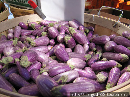 Мини баклажаны синие ( small purple eggplant ) Египет