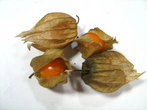 Физалис (мексиканский томат, армянская вишня)